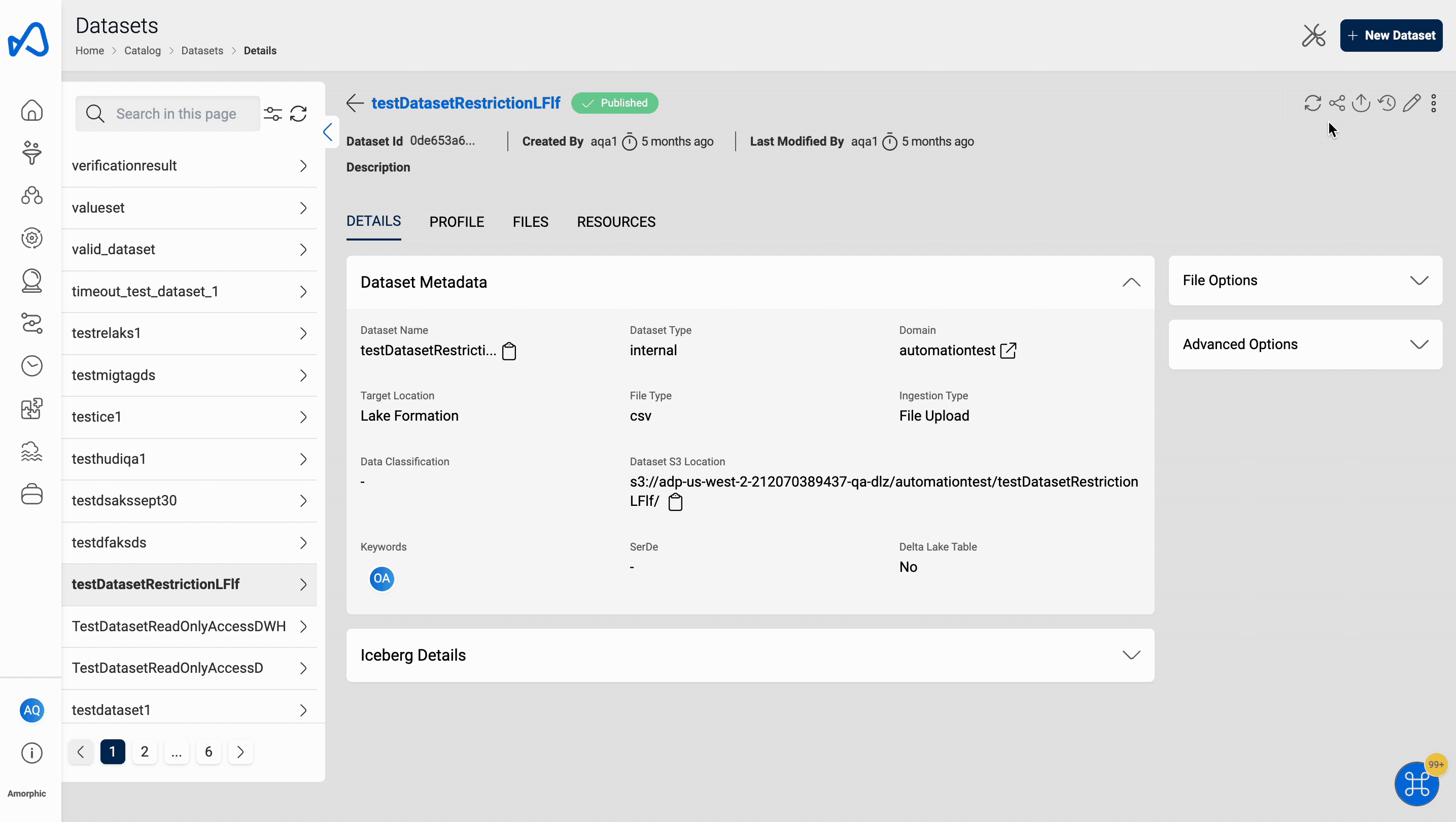 EffectivePermissions_Lakeformation_Datasets