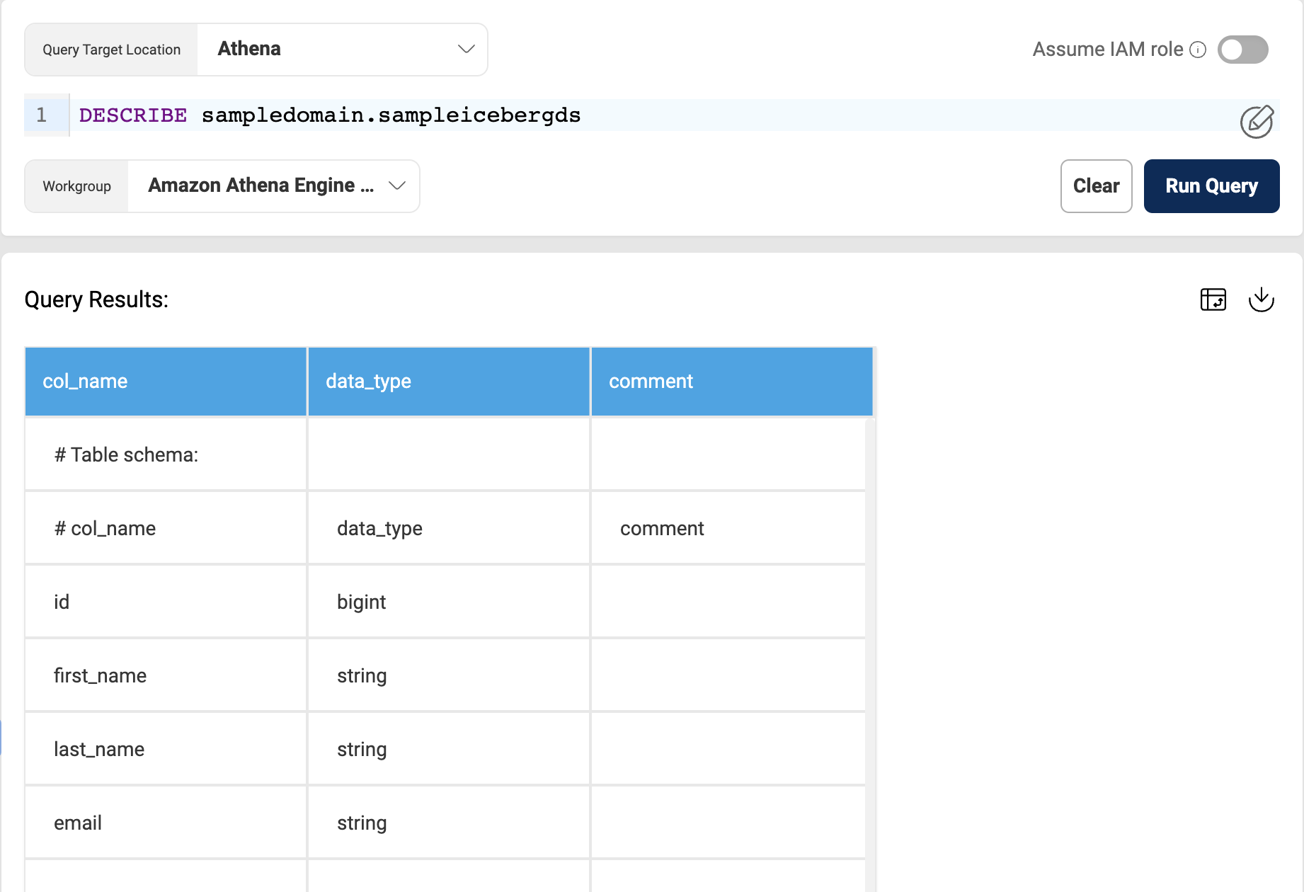 Query Iceberg dataset