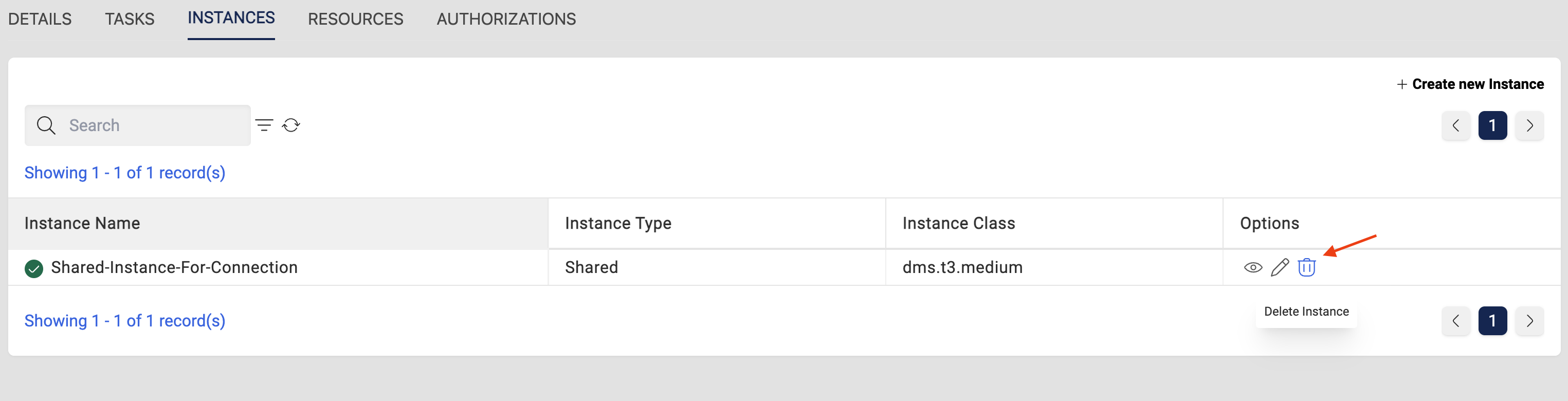 Shared Instance delete option